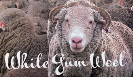 Close up of Sheep with WhiteGum Wool logo underneath