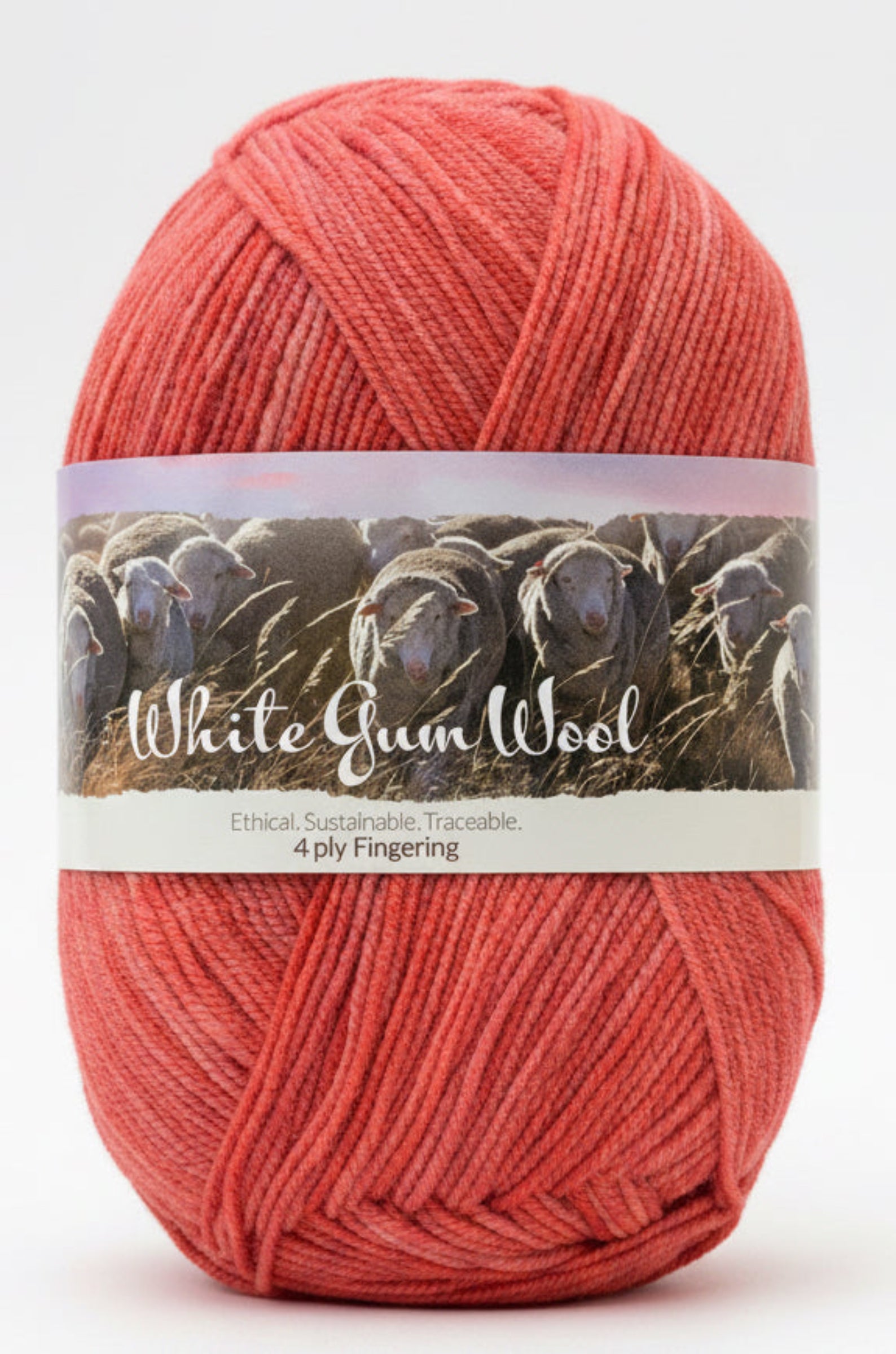 Warm mid-pink coloured hues "Rose Hip" ball of superfine 4 ply Merino on white background