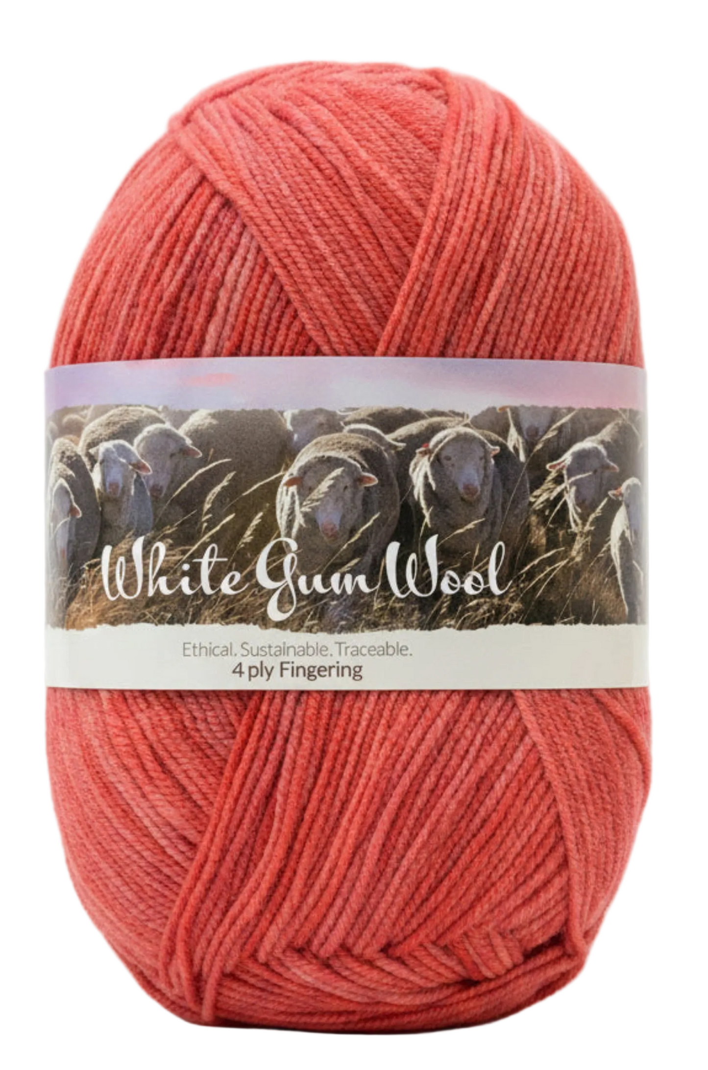 Warm mid-pink coloured hues "Rose Hip" ball of superfine 4 ply Merino on white background